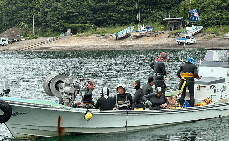 海女漁で獲れた天然鮑