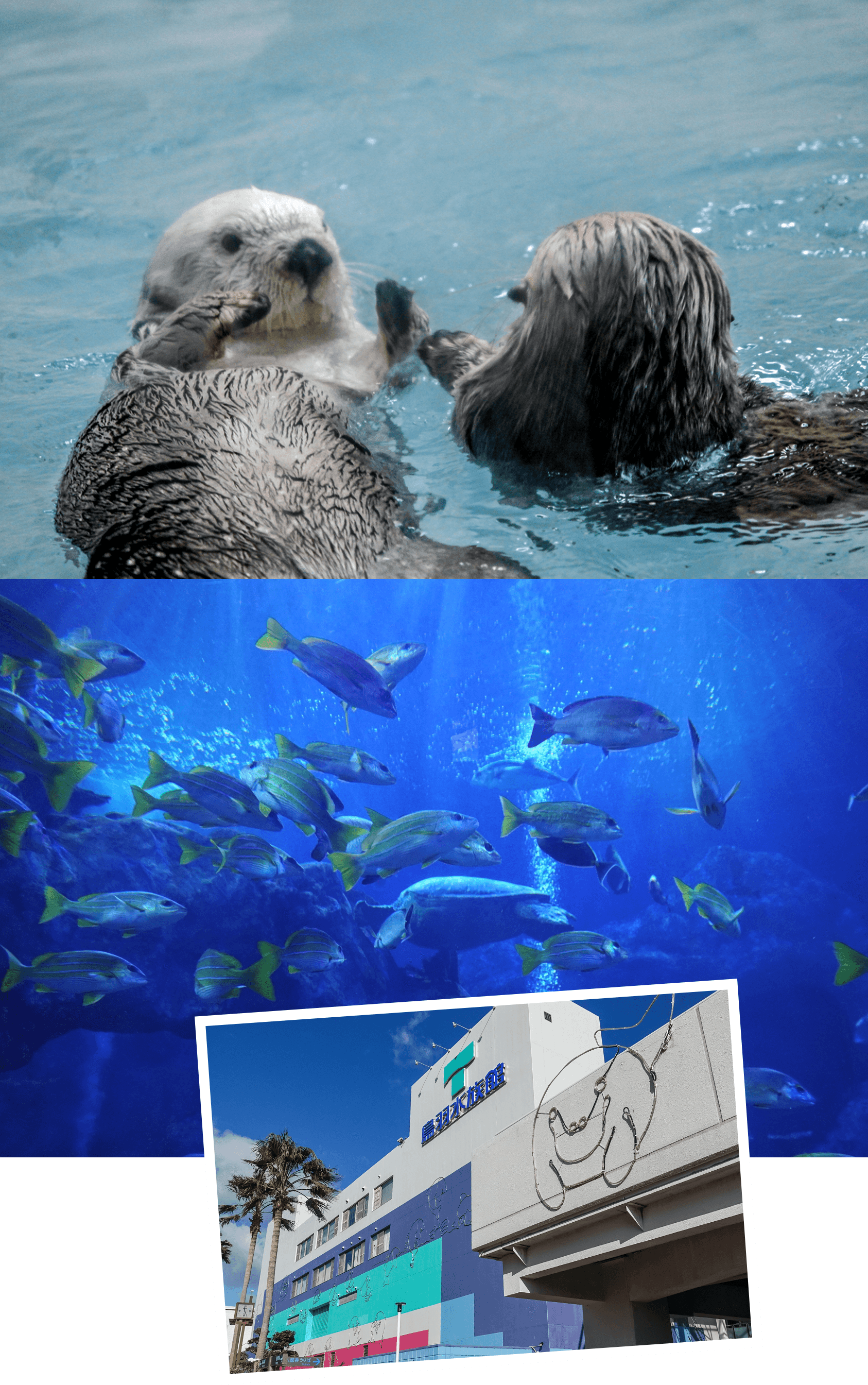 鳥羽水族館入場券プレゼント！夏旅応援プラン
